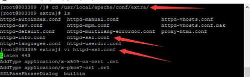 开启HTTPS访问：安装免费SSL证书